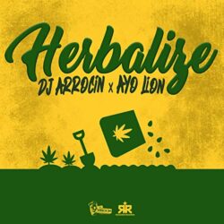 DJ ARROCÍN _ AYO LION_Cover Herbalize 2019
